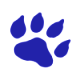 NanoBears Logo