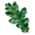 SYPER